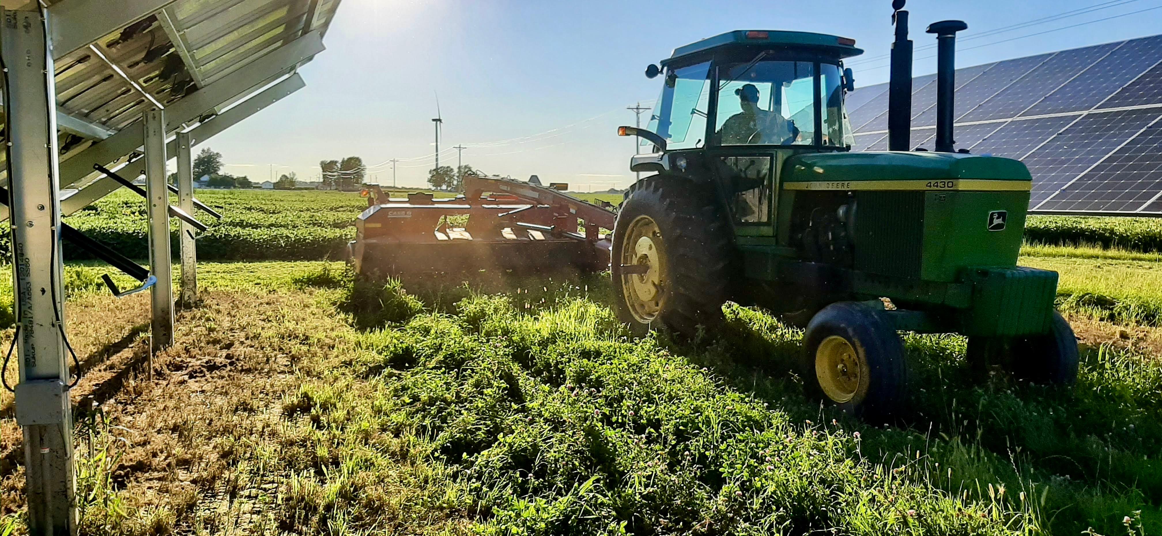 Harvesting alfalfa in Solar Field - Credit - Between the Rows, Savion LLC.jpeg
